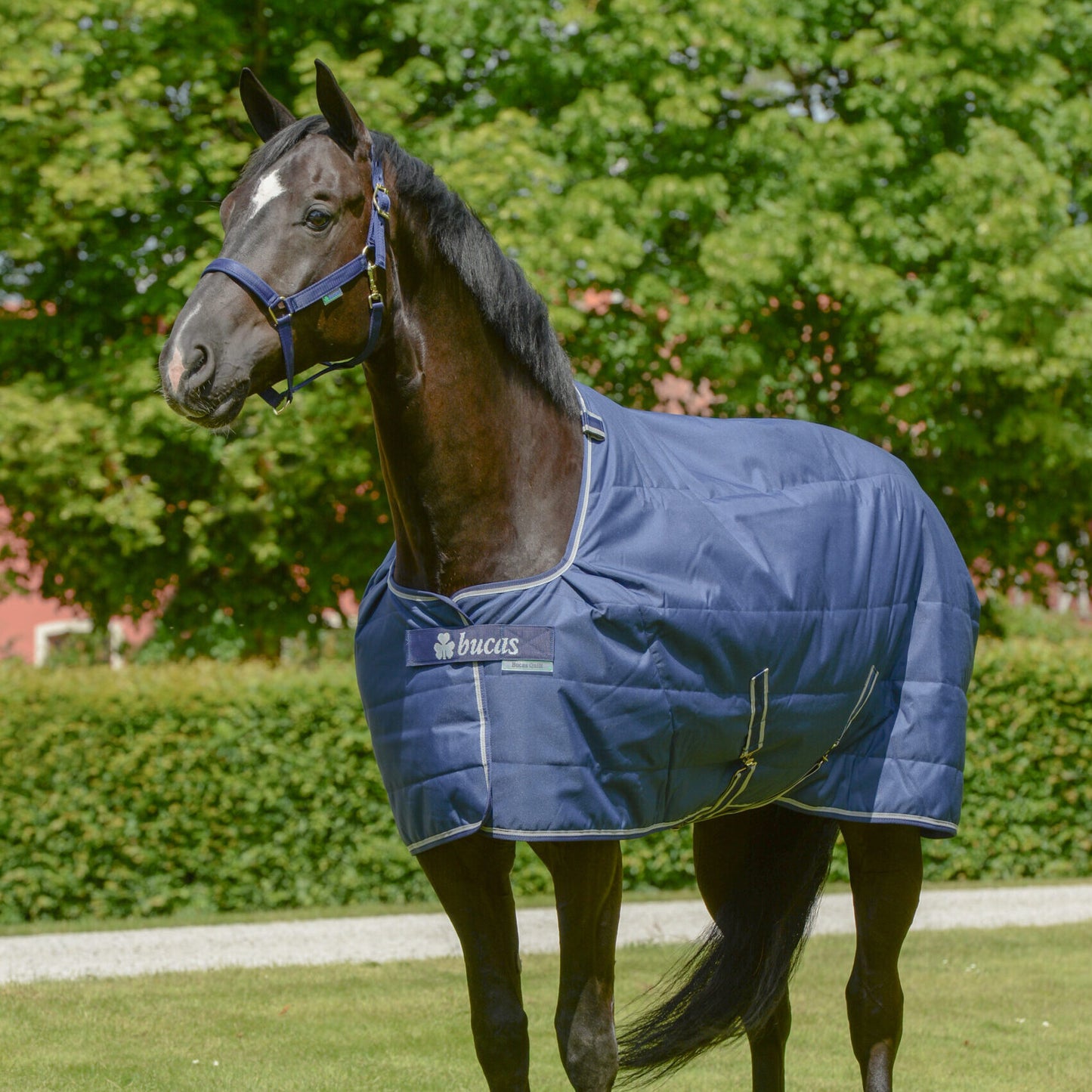 Bucas Quilt mit WASCHBON