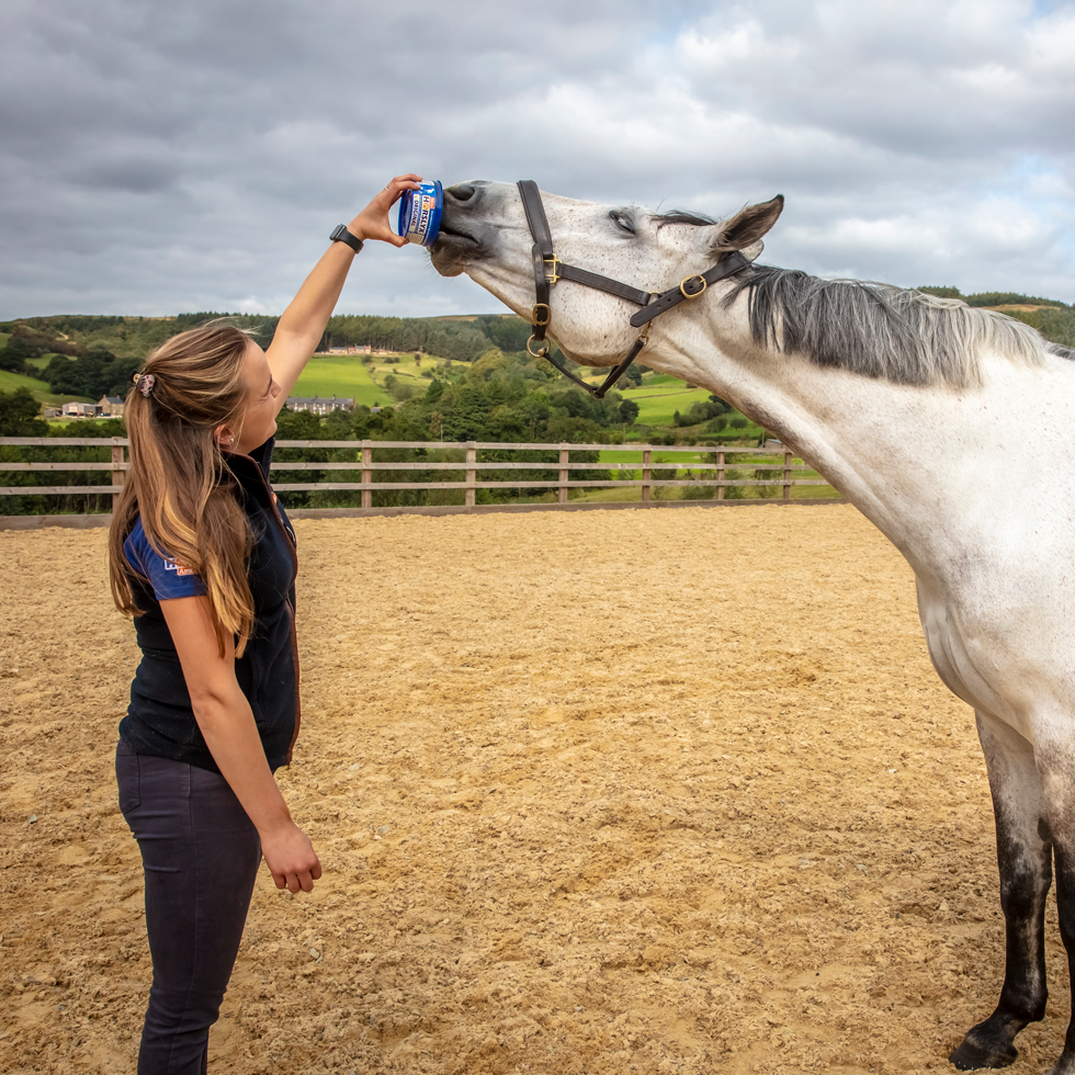 Horslyx Mini Original 650 g