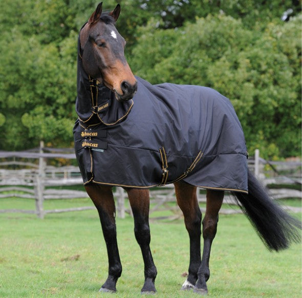 BUCAS-IRISH-TURNOUT Classic Cut mit WASCHBON