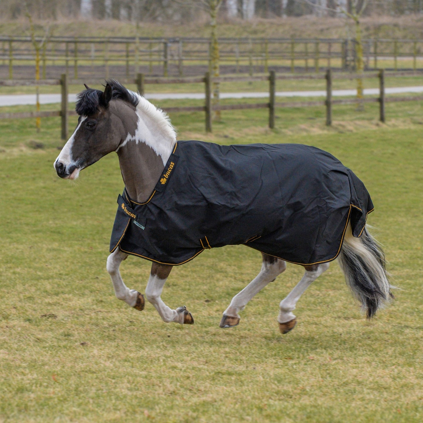 BUCAS-IRISH-TURNOUT Classic Cut mit WASCHBON