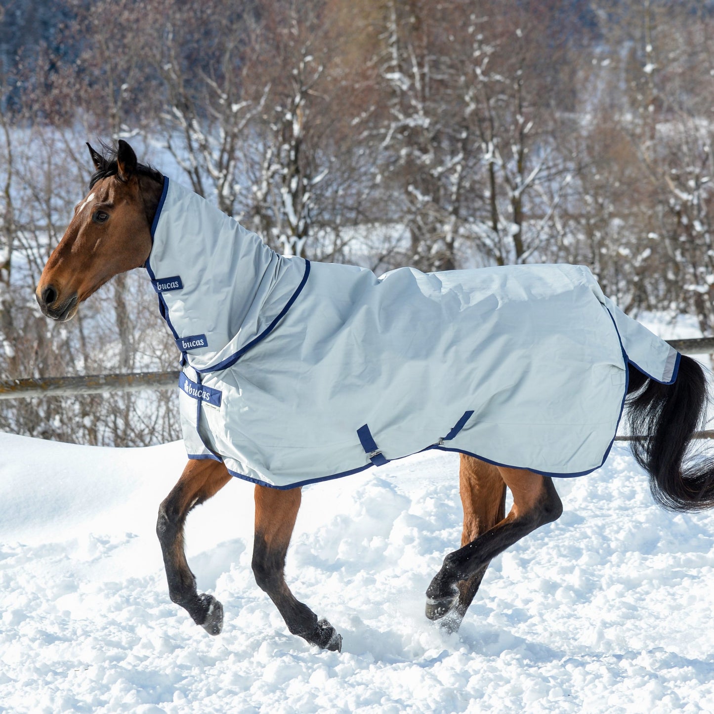 Bucas Power Turnout Halsteil mit Waschbon