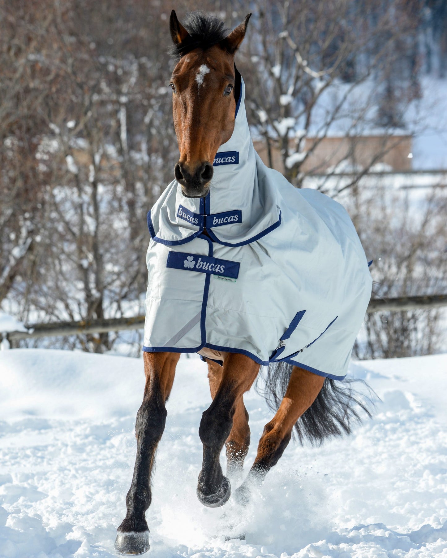Bucas Power Turnout Halsteil mit Waschbon