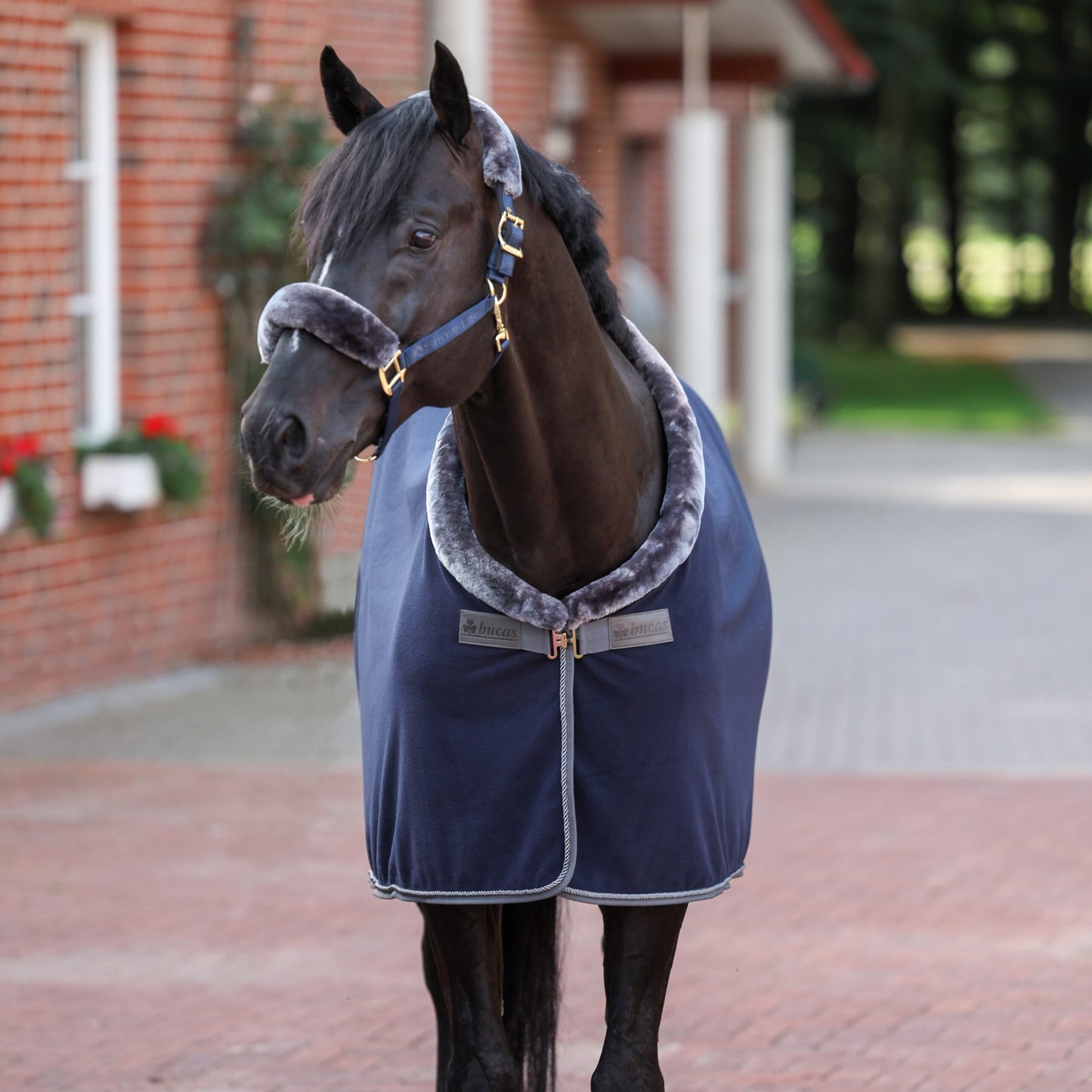 BUCAS Show-Line Fleece mit Waschbon