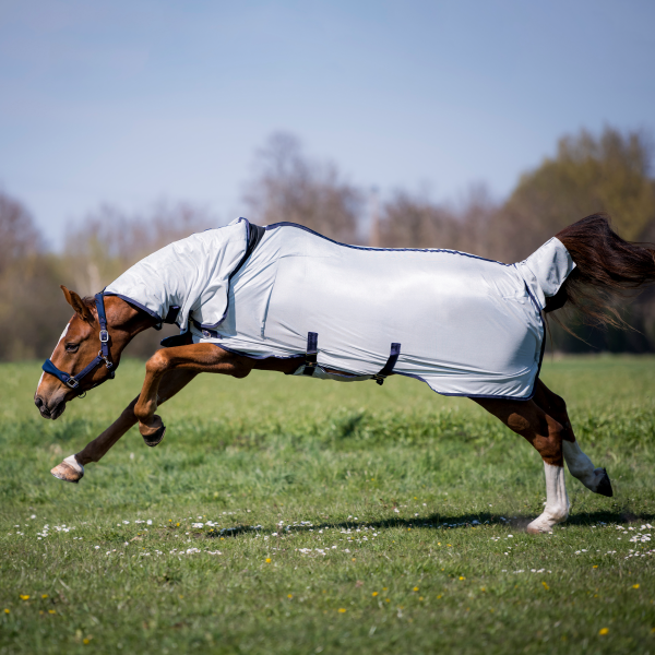 FLIEGENDECKE SUPERB von BUSSE mit Waschbon