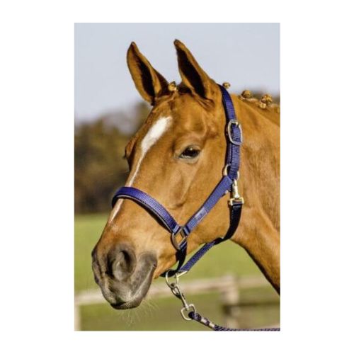 Halfter SOLID SOFT von Busse