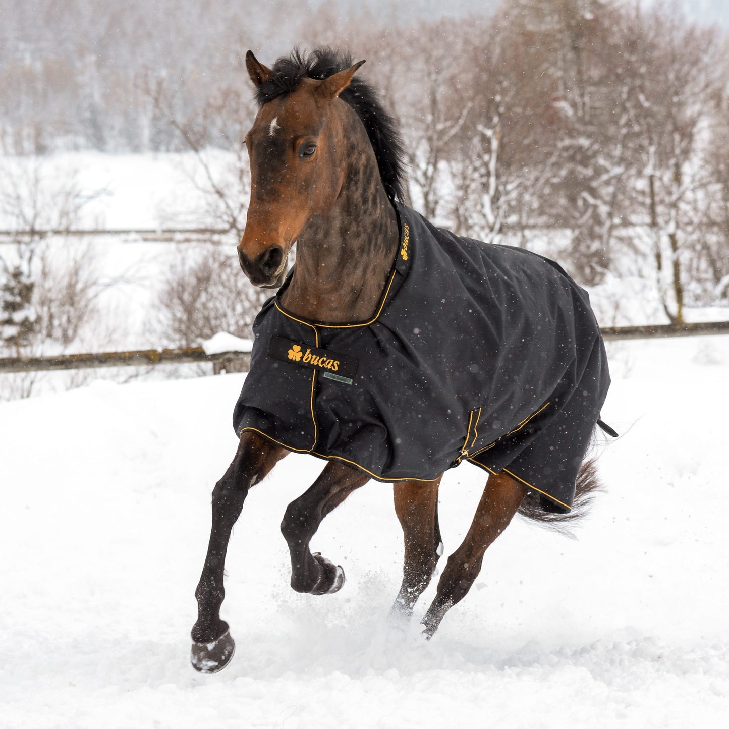 BUCAS-IRISH-TURNOUT High Neck mit WASCHBON