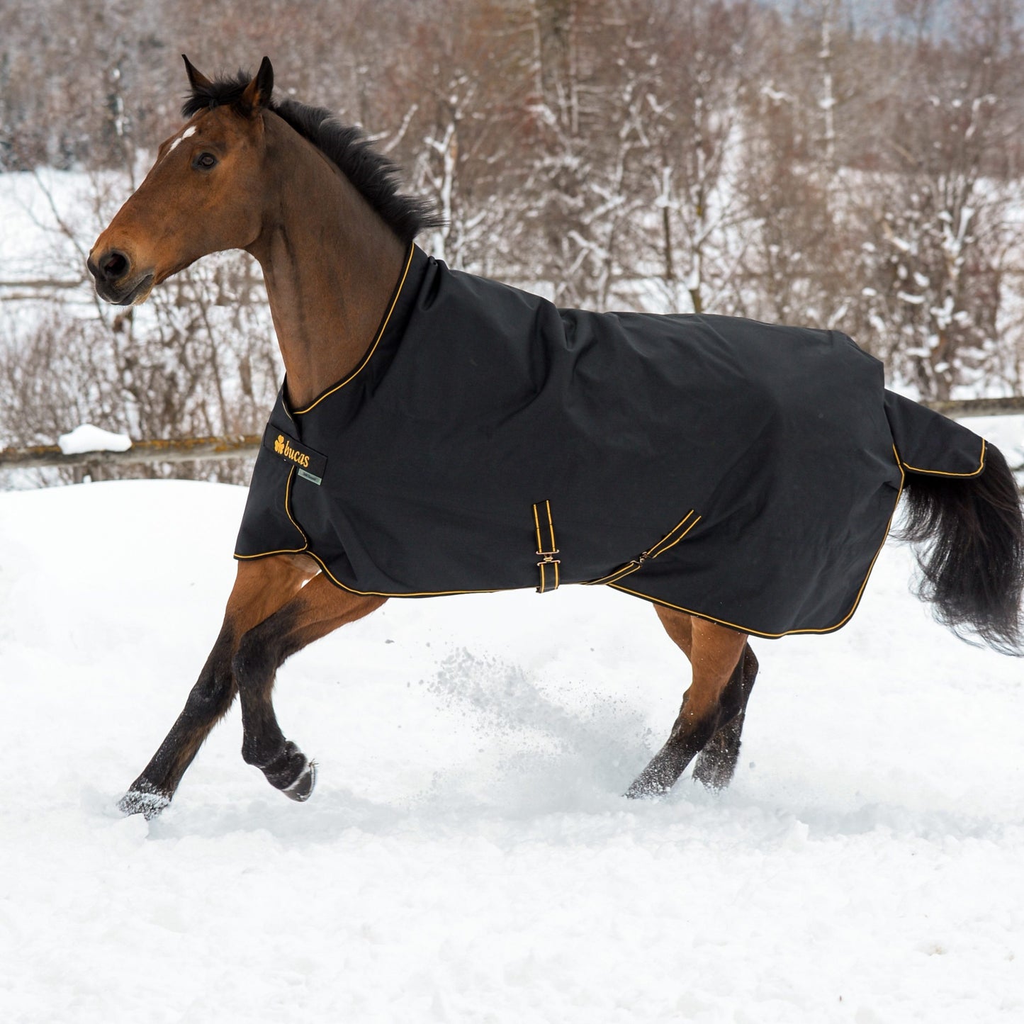 BUCAS-IRISH-TURNOUT High Neck mit WASCHBON