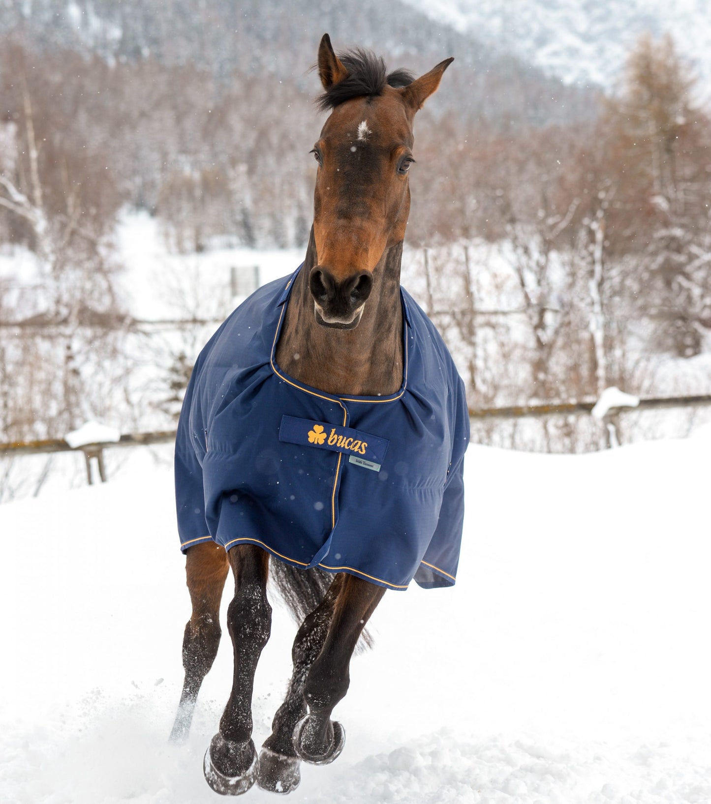 BUCAS-IRISH-TURNOUT High Neck mit WASCHBON