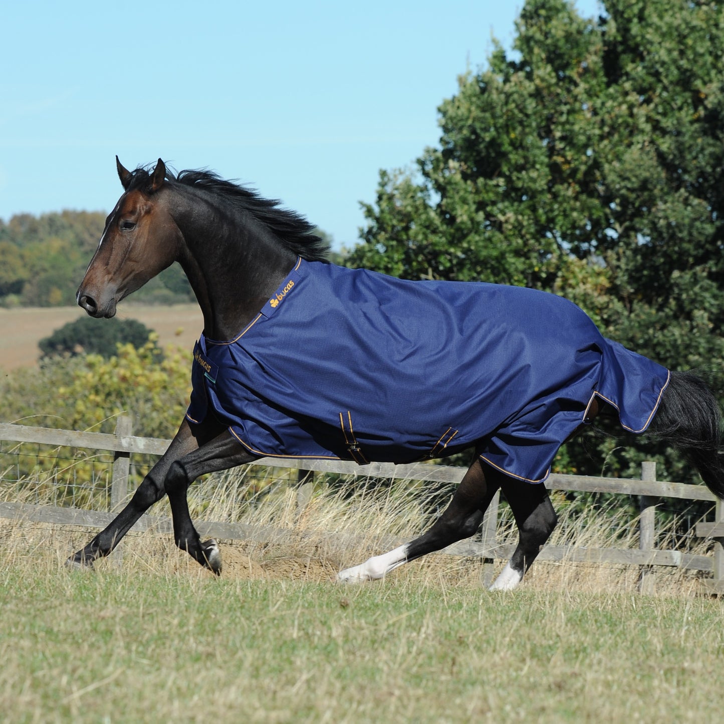 BUCAS-IRISH-TURNOUT High Neck mit WASCHBON