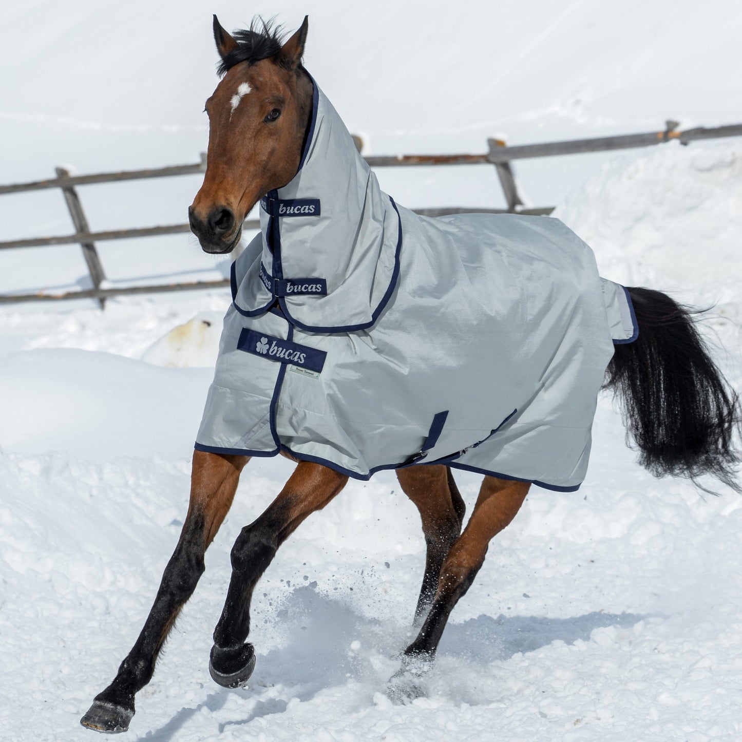 Bucas Power Turnout Halsteil mit Waschbon