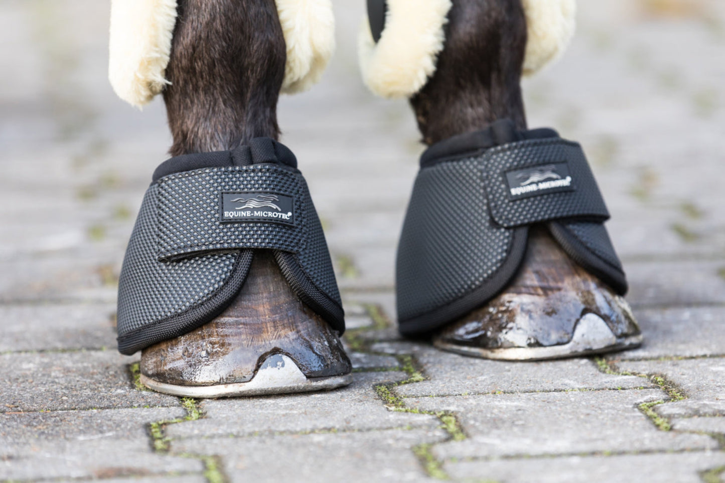 equine_microtec_HUFGLOCKEN_MIT_ANTI_TWIST