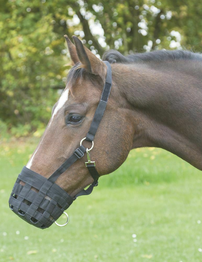 Maulkorb mit Halfter von Kerbl