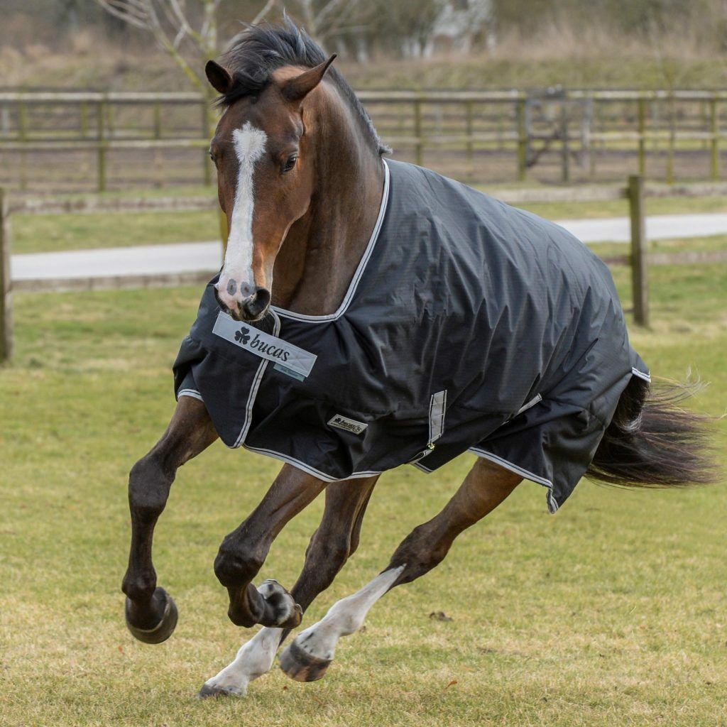BUCAS-IRISH-TURNOUT High Neck mit WASCHBON