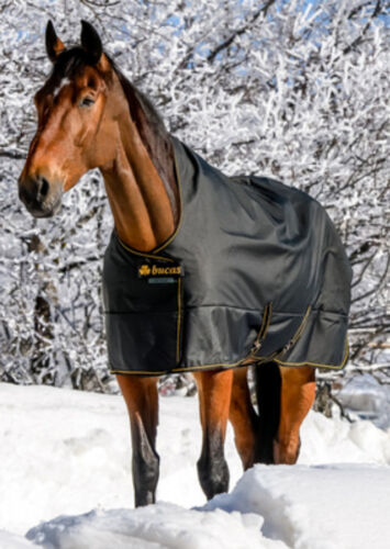 BUCAS-IRISH-TURNOUT High Neck mit WASCHBON