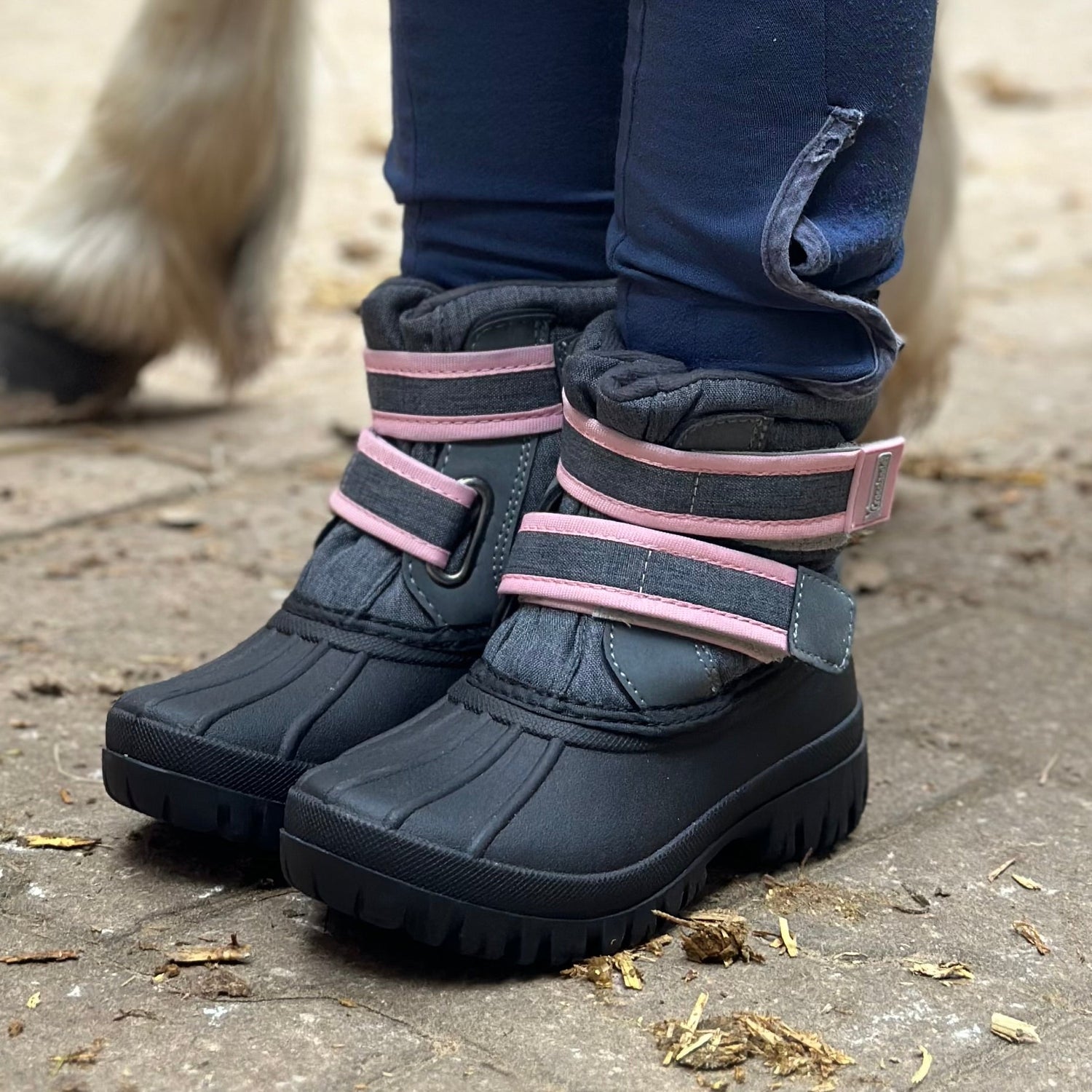 Stiefel, Schuhe und Chaps zum Reiten und für die Stallarbeit