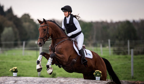 Sicherheit im Reitsport