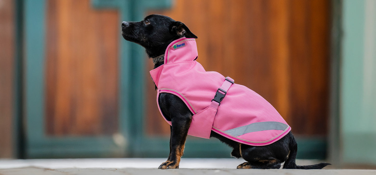 Hundedecke Freedom Dog Rug von Bucas