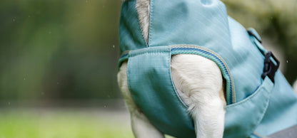 Hundedecke Freedom Dog Rug von Bucas