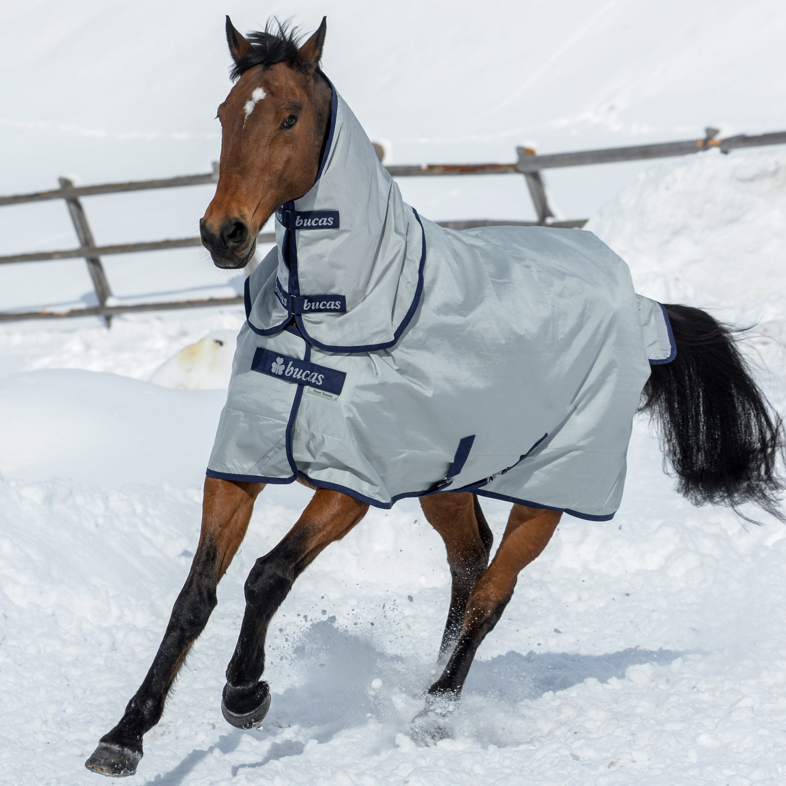 Video laden: einer unserer Empfehlungen: BUCAS Decken