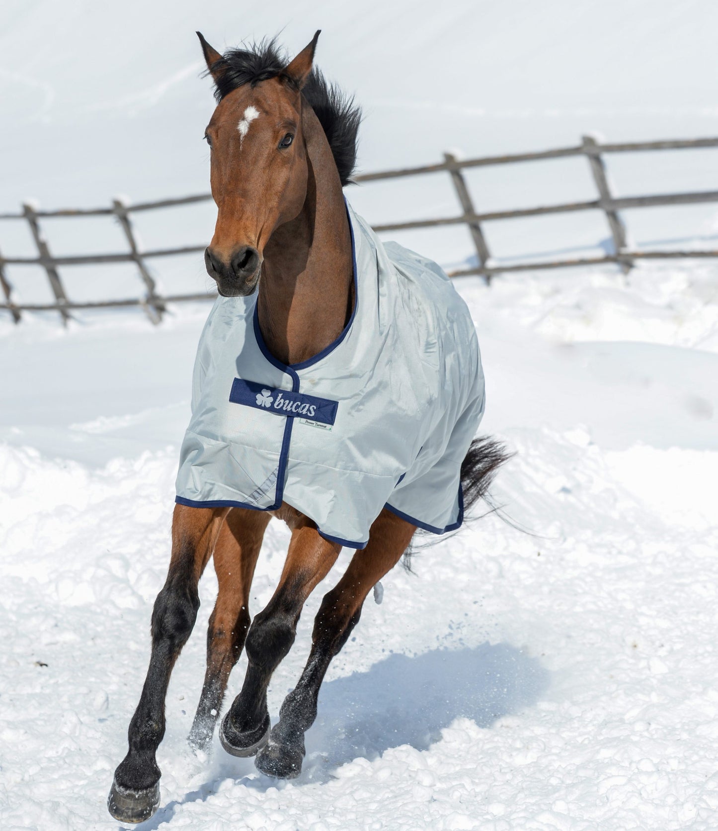 BUCAS POWER TURNOUT light classic cut  von BUCAS mit Waschbon