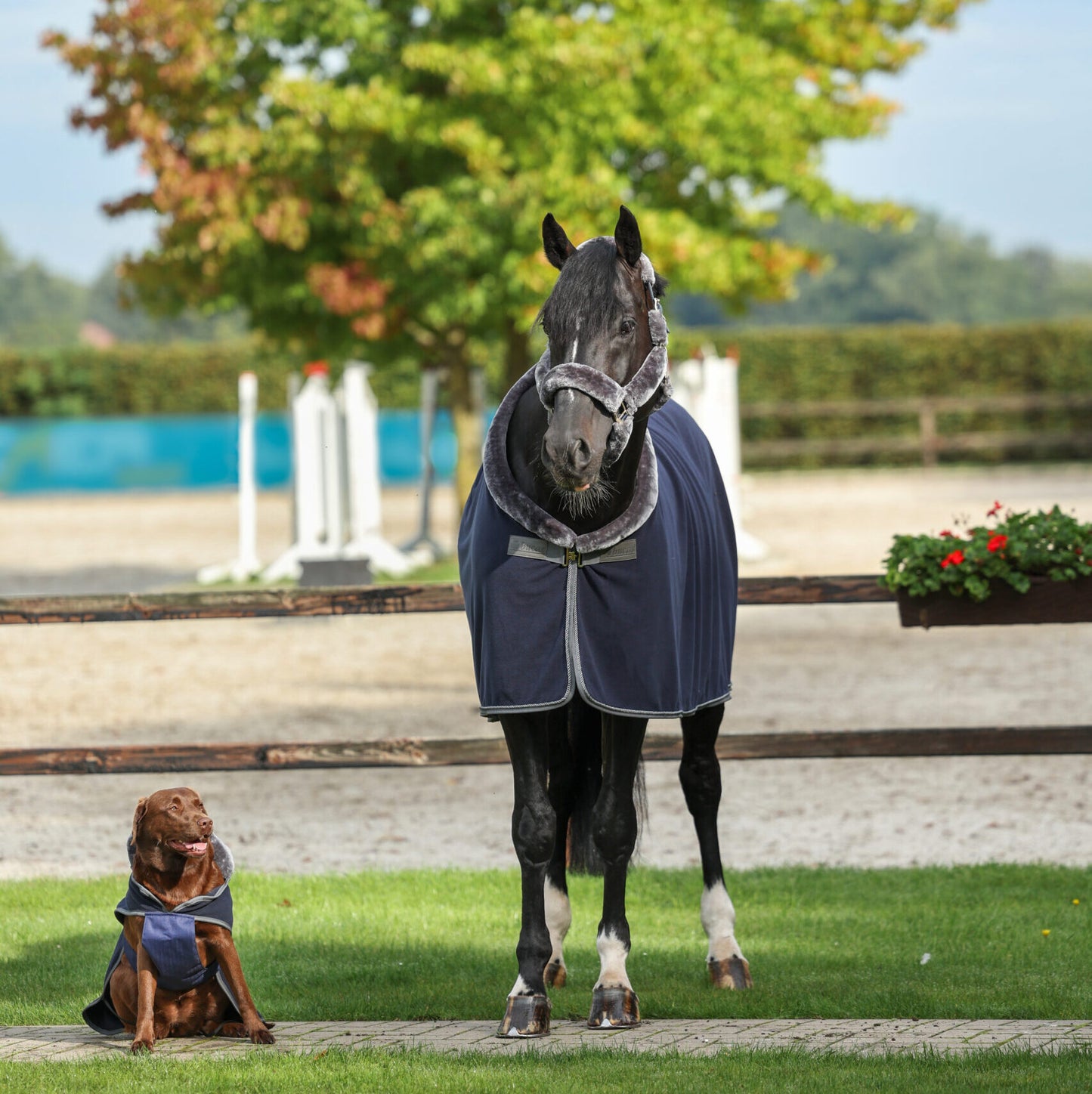 Show-Line Fleecedecke von BUCAS mit Waschbon