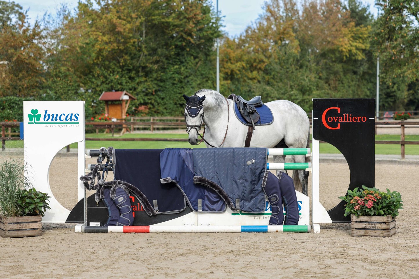 Show-Line Fleecedecke von BUCAS mit Waschbon