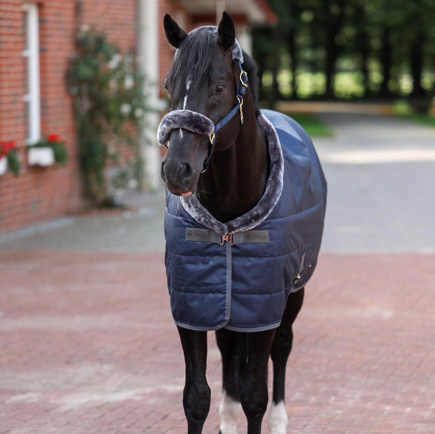 Show-Line Fleecedecke von BUCAS mit Waschbon