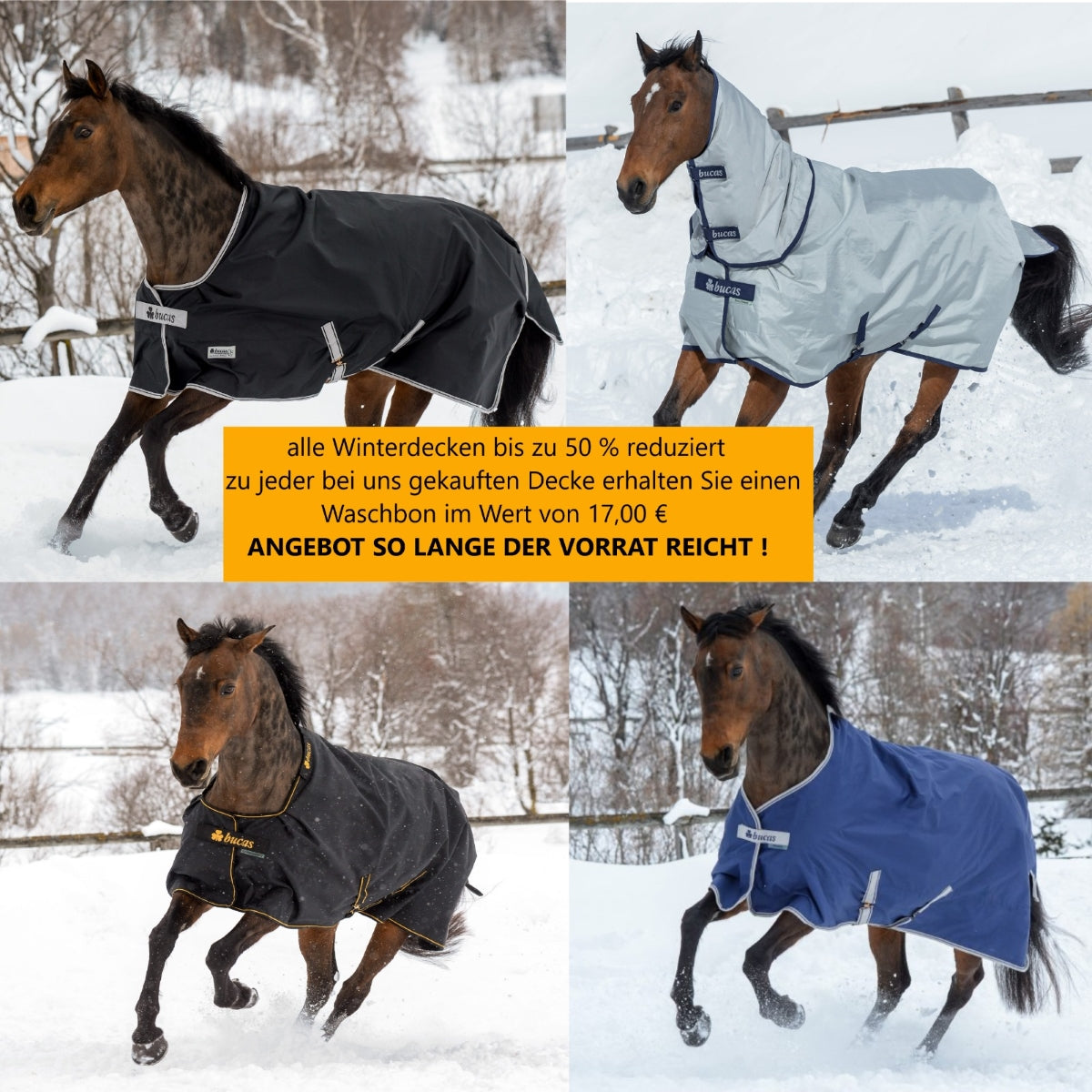 Schlenderhannes Pferdezubehör, WSV, Winterschlussverkauf, Winterdecken für Pferde bis zu 50% reduziert